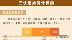 三伏天每伏是多少天,三伏天每一伏是多少天
