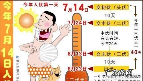 三伏天每伏是多少天,三伏天每一伏是多少天