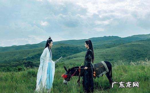 陈情令之乱魄播出时间,陈情令聂怀桑复活魏无羡