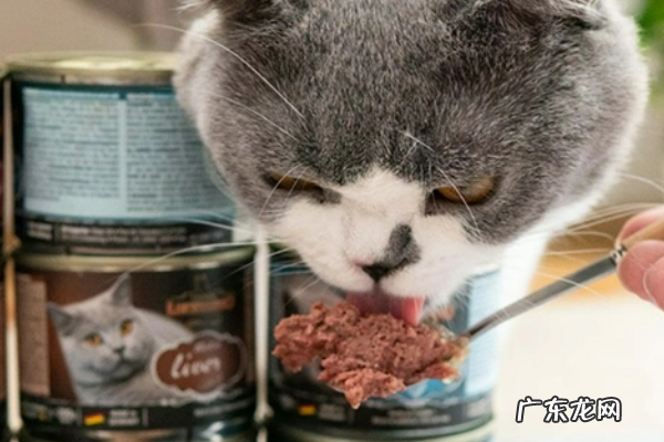 zeal是什么牌子,猫罐头哪个品牌的比较好