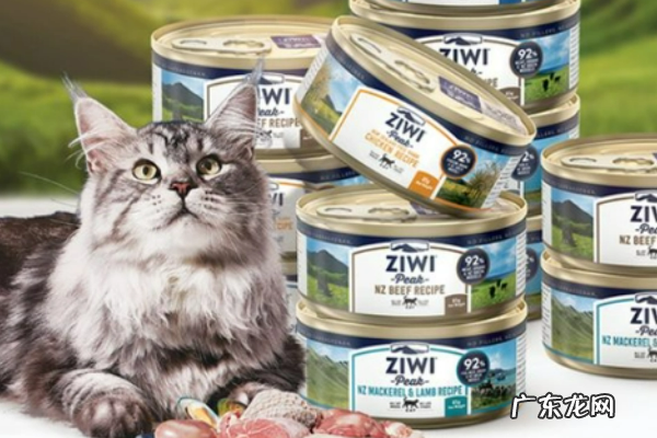 zeal是什么牌子,猫罐头哪个品牌的比较好