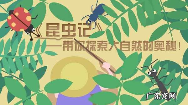 毛虫的毒素在哪里,毛虫的毒素之源在他的绒毛中对