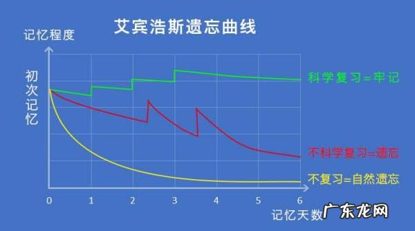 关于遗忘的规律是由谁发现的,关于遗忘的规律是谁发现