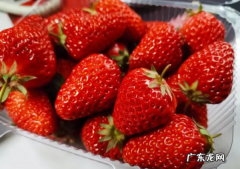 冬季是吃草莓的季节吗,草莓什么季节吃