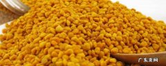 蜂花粉要怎么吃 怎样食用蜂花粉