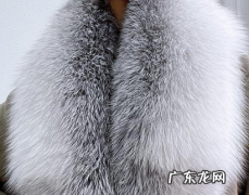 狐狸毛皮草可以自己在家洗,狐狸毛可以水洗怎么洗