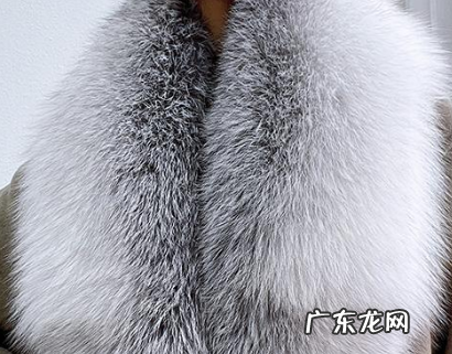 狐狸毛皮草可以自己在家洗,狐狸毛可以水洗怎么洗