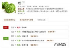 红菇与什么相克,红菇和莲子会相克