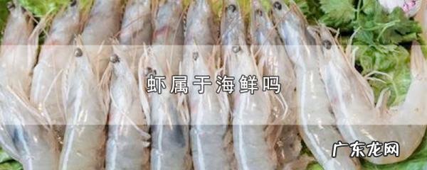 河虾属于海鲜,河虾属于海鲜类