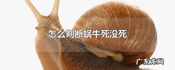 怎么判断蜗牛死了还是冬眠了,如何判断蜗牛有没有毒