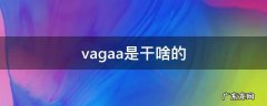 vagaa是干啥的 vagaa还有什么