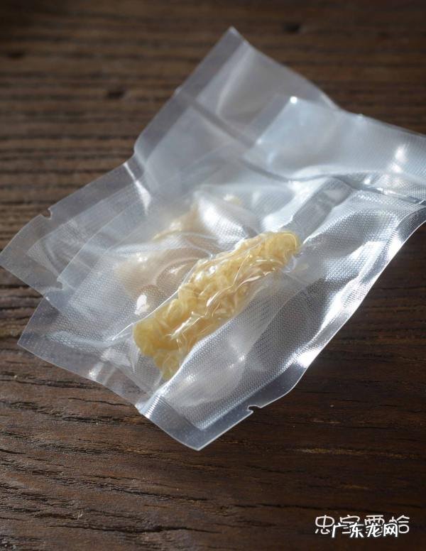 雪蛤的学名是,雪蛤到底是什么来