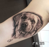 刺青和纹身的区别,纹身.彩绘.和刺青有什么区别