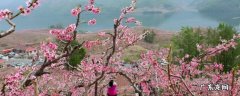 河口景点攻略 河口景点