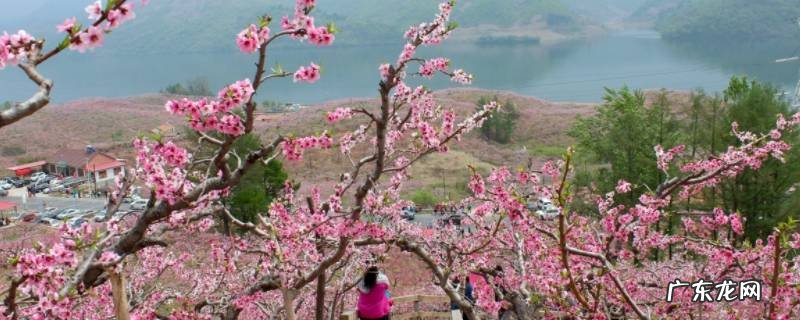 河口景点攻略 河口景点