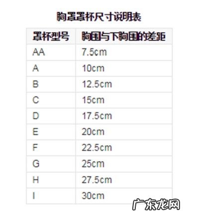 胸围abcd怎么分大小,胸abcd怎么分大小