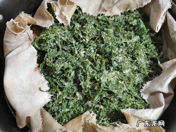 胡萝卜叶子能吃吗,胡萝卜叶子怎么吃