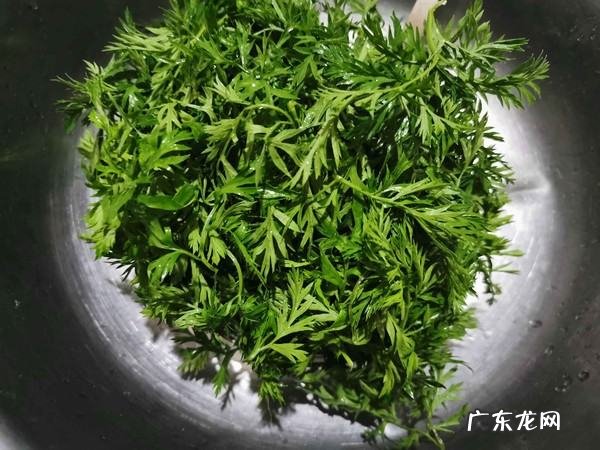 胡萝卜叶子能吃吗,胡萝卜叶子怎么吃
