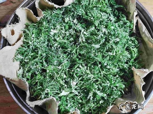 胡萝卜叶子能吃吗,胡萝卜叶子怎么吃