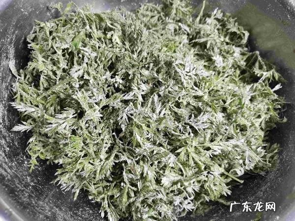 胡萝卜叶子能吃吗,胡萝卜叶子怎么吃