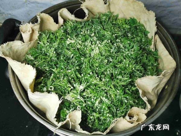 胡萝卜叶子能吃吗,胡萝卜叶子怎么吃