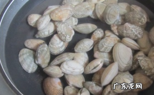 内脂豆腐和绢豆腐哪一个做汤,白玉豆腐和内酯豆腐的区别