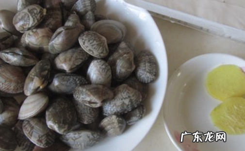 内脂豆腐和绢豆腐哪一个做汤,白玉豆腐和内酯豆腐的区别