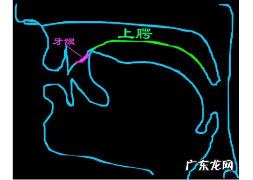平舌音有哪些 平舌翘舌要分清,平舌音有哪些和翘舌音有哪些