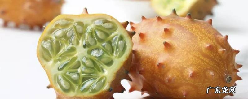 火参果怎么吃什么味道 火参果怎么吃好吃