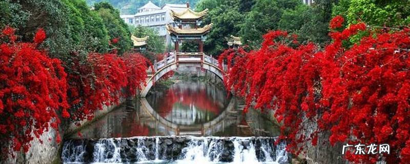 金秀景点图片 金秀景点