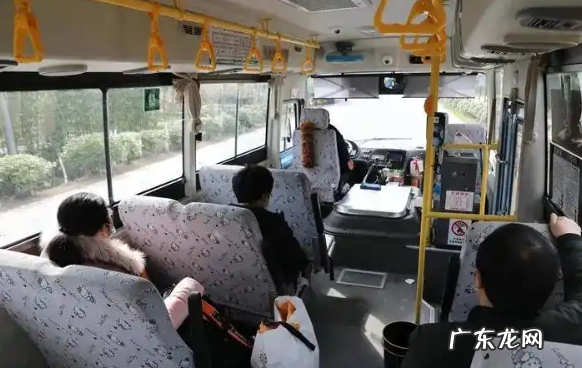 宠物可以上公交车,公交车上可以带狗狗
