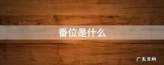 番位是什么意思饭圈 番位是什么