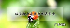 四星瓢虫是益虫还是害虫,四星瓢虫是益虫还是害虫黄色