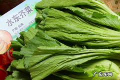 野生芥菜有几种,芥菜有几个品种