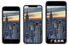 苹果什么时候传入中国,苹果最早什么时候传入中国