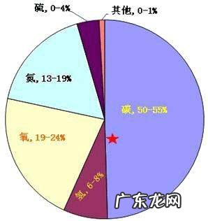 蛋白质由什么物质组成,蛋白质是由什么组成的