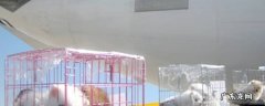 不能托运的物品清单雨伞 不能托运的物品清单