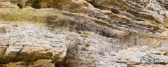 白云岩和石灰岩区别 白云质灰岩和石灰岩的区别