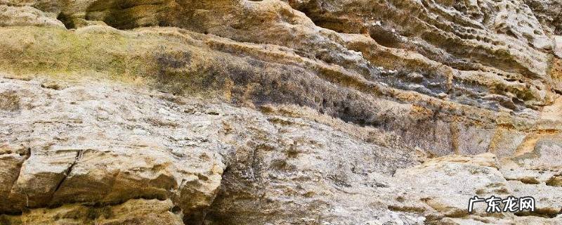 白云岩和石灰岩区别 白云质灰岩和石灰岩的区别