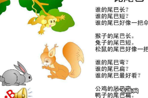 什么动物打开什么像把伞,什么动物的尾巴像一把伞除了松鼠