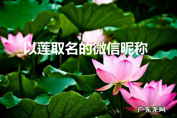 寓意莲花的微信昵称,微信昵称以莲取名大全