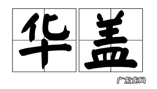 华盖一般用来指的是什么,华盖什么意思