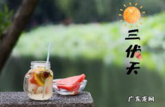 三伏天后是什么节气,三伏天一般在哪两个节气之间