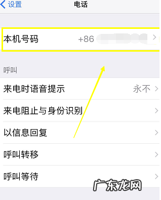 苹果手机怎么样隐藏号码打电话,苹果手机打电话怎么隐藏本机号码不被被叫号码发现