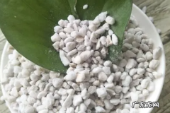 珍珠岩是干什么用的,珍珠岩的作用