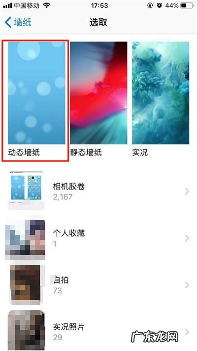 xr支持动态壁纸,xr不能动态壁纸