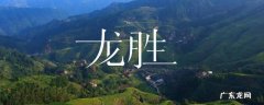 龙胜景点 龙胜景点图片