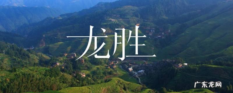 龙胜景点 龙胜景点图片