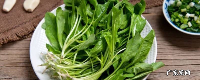 荠菜的吃法和做法 荠菜的家常做法