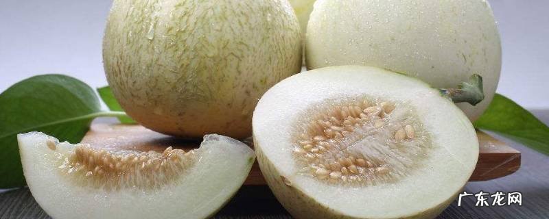 香瓜怎么吃? 水果香瓜怎么吃